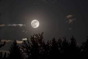 静谧夜空中的美学之月 — 月亮夜空 壁纸