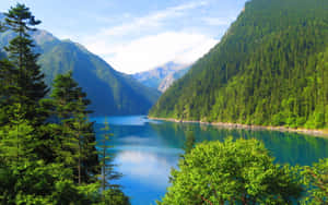 美丽的自然背景 — 美丽自然 壁纸