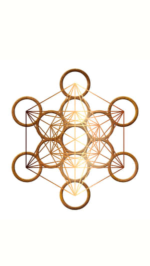 1440x2560 — 1440x2560 壁纸