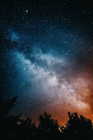 高清星辰与树木 — 小米平板7 Ultra 壁纸