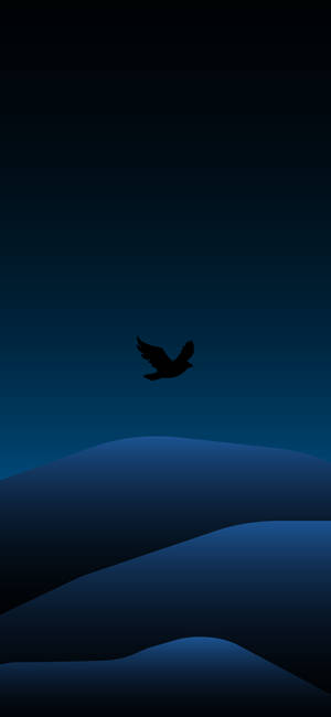 鸟与风景最小黑暗iPhone — iPhone 12 壁纸