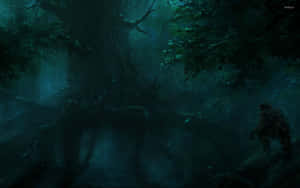 黑暗森林背景 — 黑暗森林 壁纸