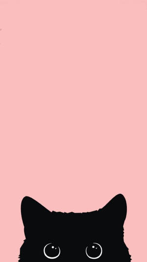 黑猫 iPhone 12 壁纸