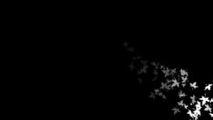 美学黑白图片