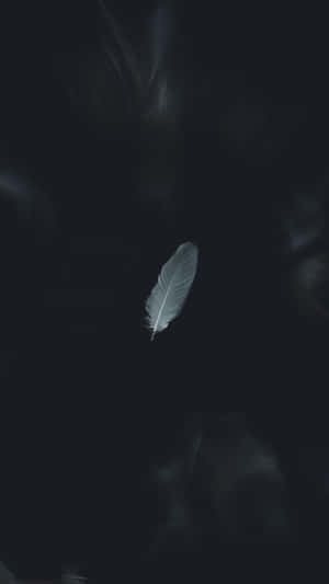 黑白美学图片